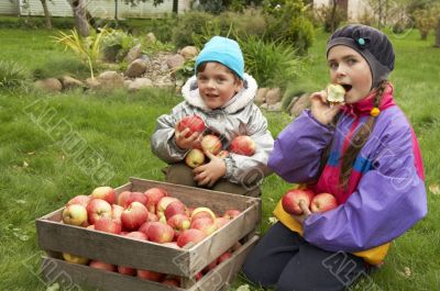 Outdoors with apples