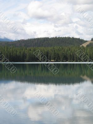 lake and forest view