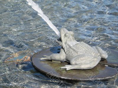 frog fountain