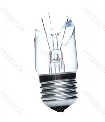 Bulb