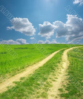 Field