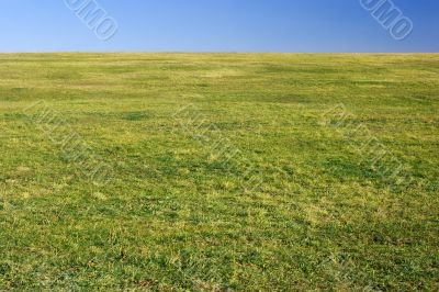 Field