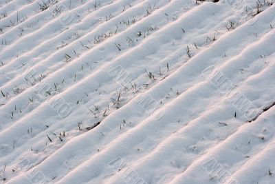Snow