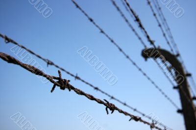 Wire