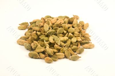 Cardamom
