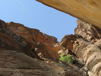 Canyon in Petra