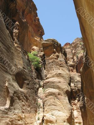 Deep canyon in Petra