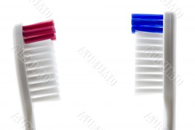 toothbrush