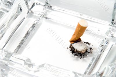 Cigarette Butt