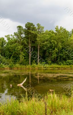 Stormy Lake
