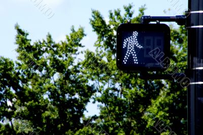 Walk Signal