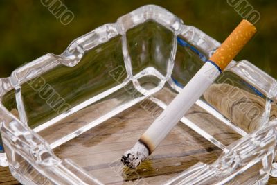 Cigarette