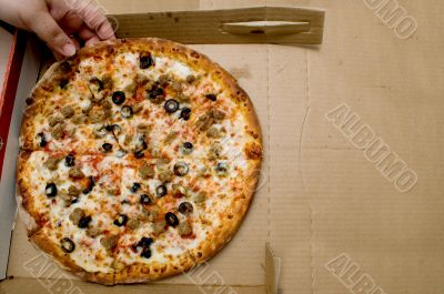 Pizza