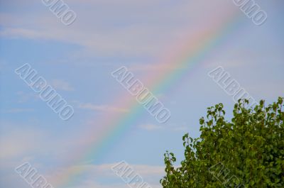 Rainbow