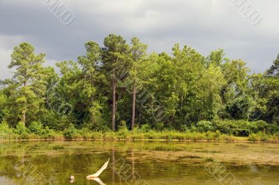 Stormy Lake