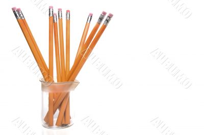 Science Class Pencils