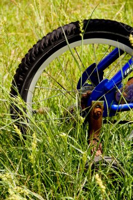 Bicycle Tire