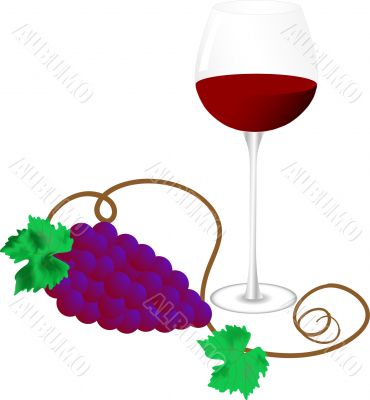Glass of wine