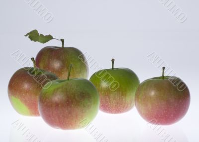 Five apple