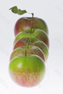 Five apple