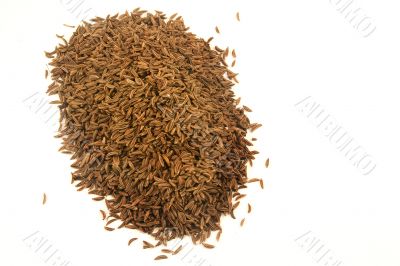 Cumin