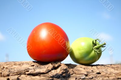 Young and Old