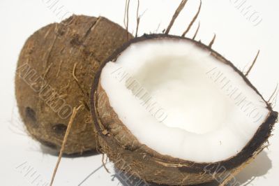 Coconut