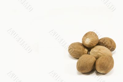 Nutmeg