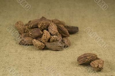 Black cardamom