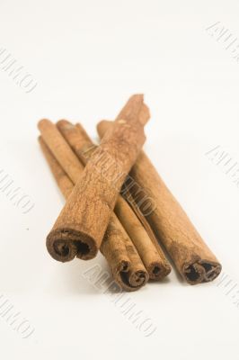 Cinnamon