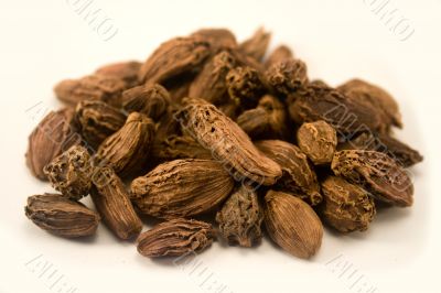 Black cardamom