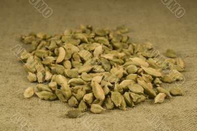Cardamom