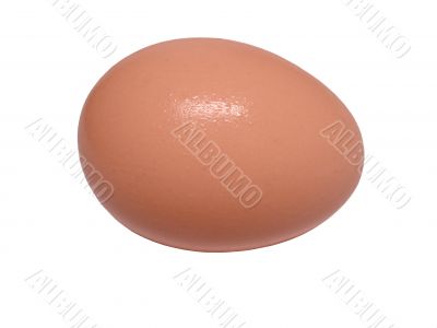 Brown egg.