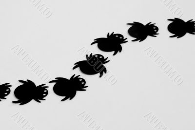 black spiders