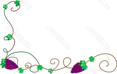 Bunch of grapes