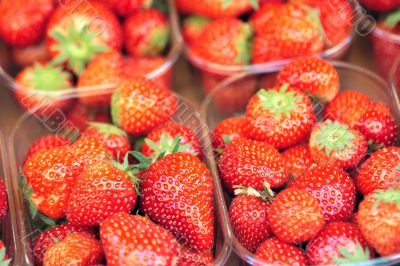 Strawberry on market