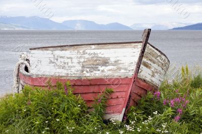 beached boat