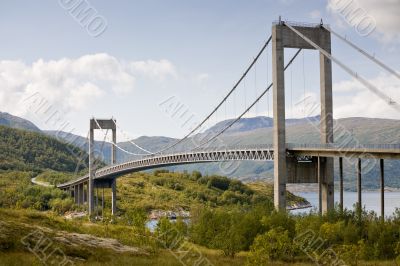 cable-braced bridge