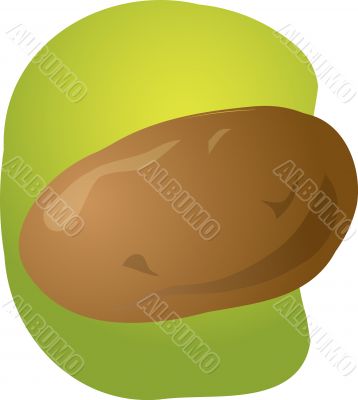 Potato illustration