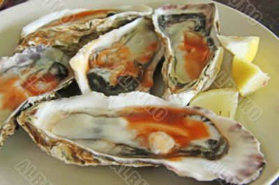 Fresh raw oysters