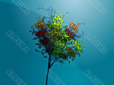 Autumn tree