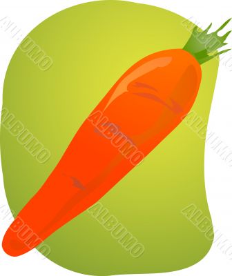Carrot illustration