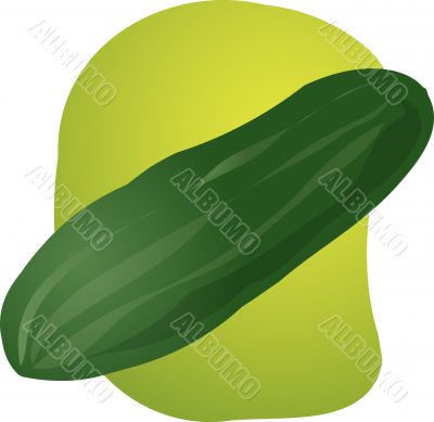 Cucumber illustration