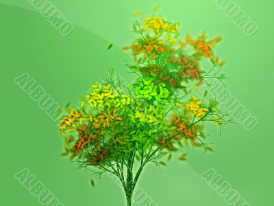 Autumn leafy tree