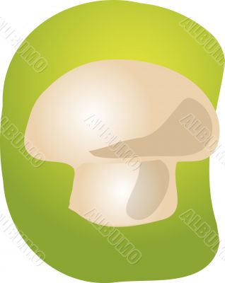 Mushroom illustration