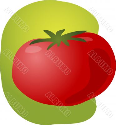 Tomato illustration