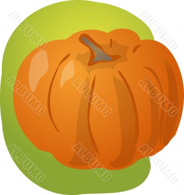 Pumpkin illustration