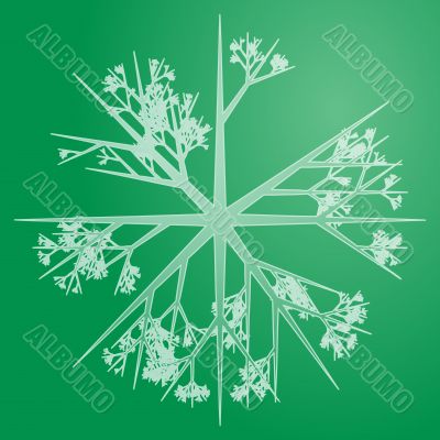 Snowflake illustration