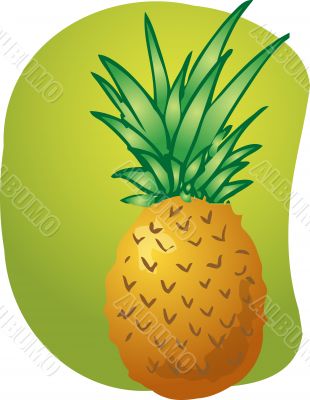 Pineapple fruit illustration