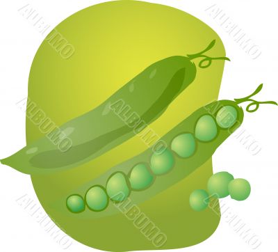 Peas illustration